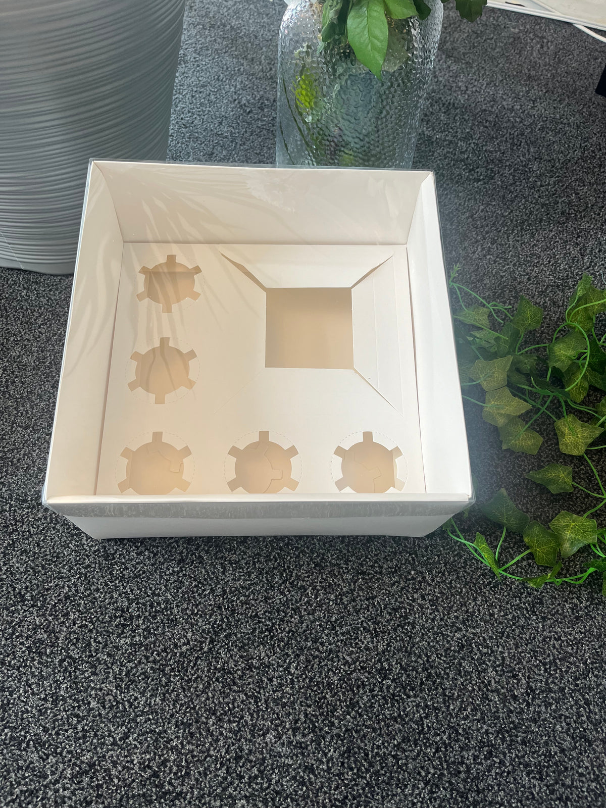 Bento Cupcake Box 5 Hold Clear Lid