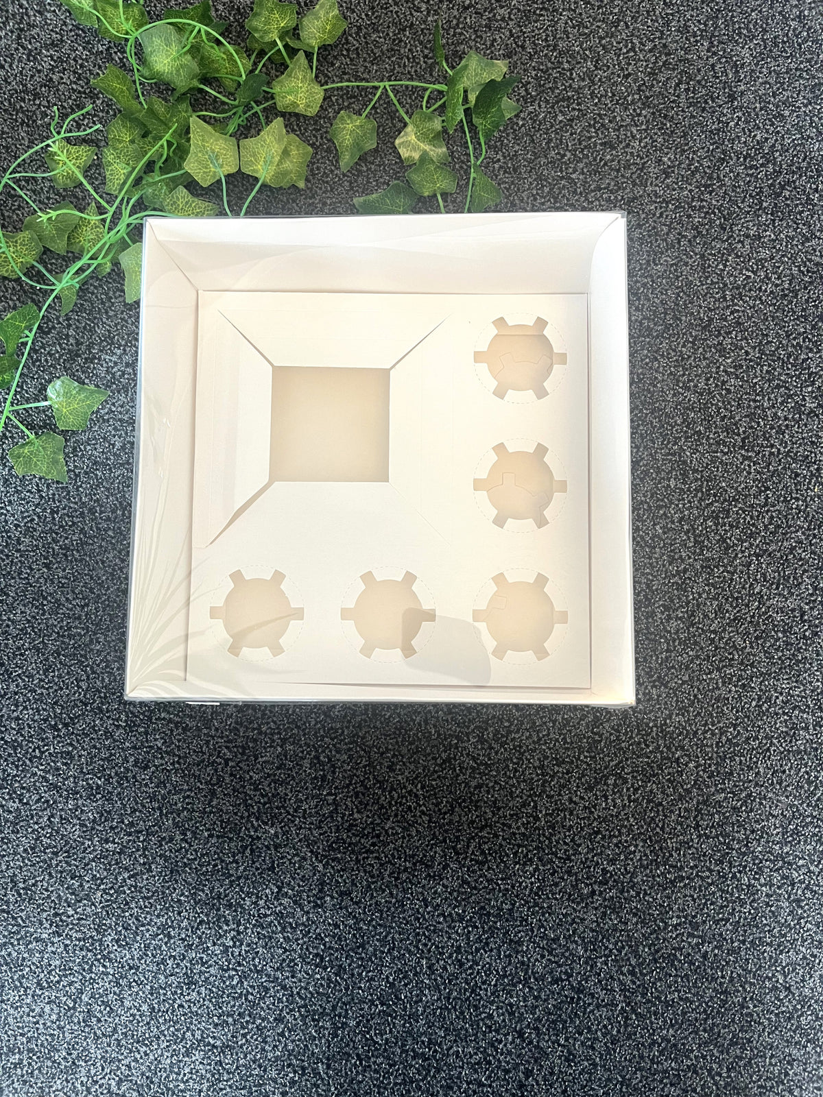 Bento Cupcake Box 5 Hold Clear Lid